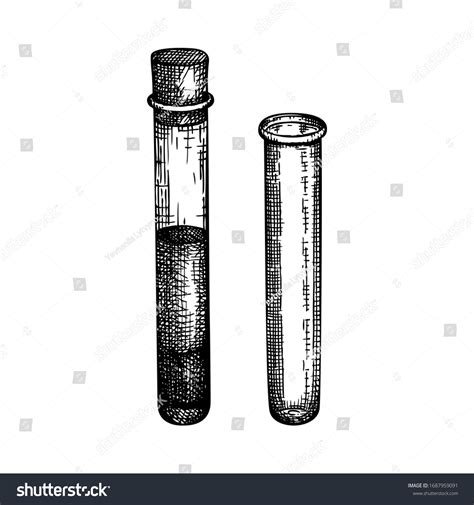 Test Tube Drawing Empty at Walter Graves blog