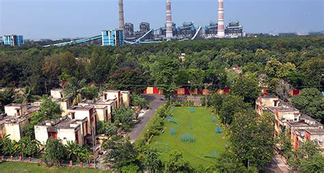 Afforestation | NTPC Limited