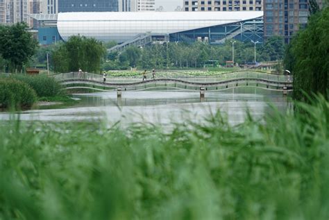 西安浐灞：生态建设打造“城市绿肺”_图片新闻_中国政府网