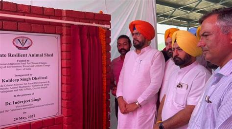 ਸੂਬੇ ਦੀ ਨੁਹਾਰ ਬਦਲ ਸਕਦੇ ਹਨ ਪਸ਼ੂ ਪਾਲਣ ਕਿੱਤੇ : ਕੁਲਦੀਪ ਸਿੰਘ ਧਾਲੀਵਾਲ