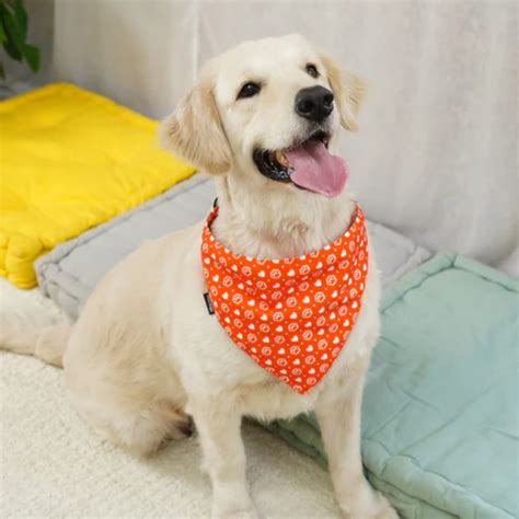Buy BearHugs Pineapple Bandana Dog Accessories Online | BearHugs