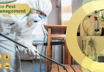 Blog - Pest Control Services