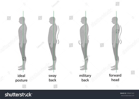 Different Types of Posture 的图像结果