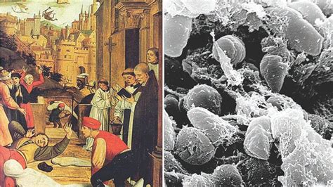 Image result for DNA Solves