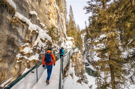 Banff area and Johnston Canyon Bus Tour - Klook India