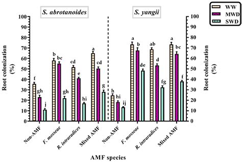 Mycorrhizal Colonization Modulates the Essential Oil Profile and ...
