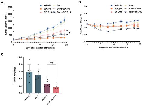 In Vivo PK-PD and Drug–Drug Interaction Study of Dorzagliatin for the ...