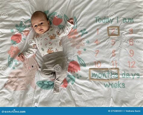 Two months old baby stock image. Image of adorable, peaceful - 275385551