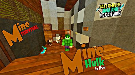 Image result for Minecraft Java SMP