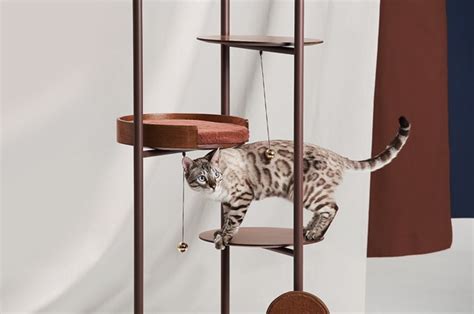Brinquedo chique para gatos combina com décor contemporâneo - Casa ...