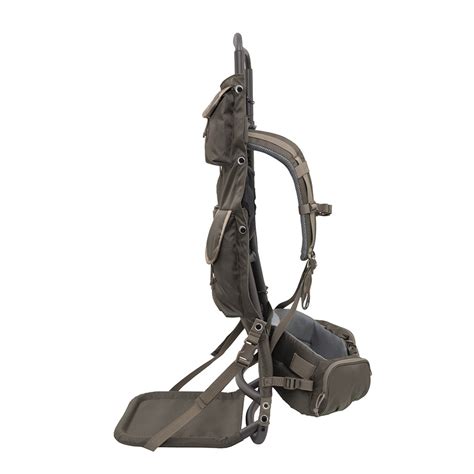 Image result for Frame Alps Packs