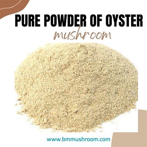 Pure Oyster Mushroom Powder (Pleurotus ostreatus) - No Preservatives ...