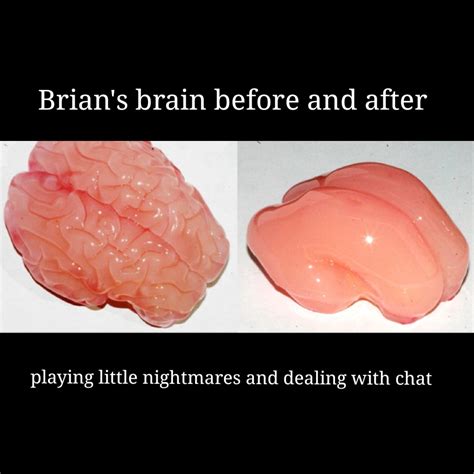 He wanted a smooth brain meme : r/BeaglyBubs