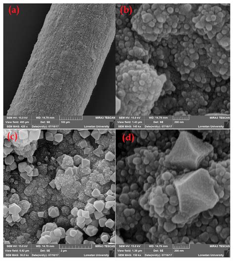 Chromium-Based Polypyrrole/MIL-101 Nanocomposite as an Effective ...