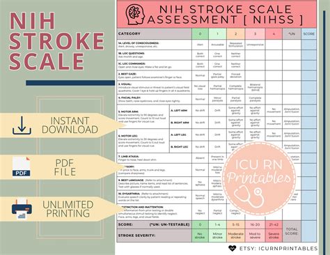 NIH Stroke Scale Assessment Form [ NIHSS ] | Printable PDF Download - Etsy