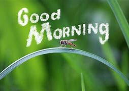 Image result for Whimsical Good Morning