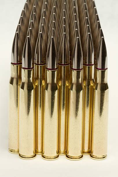 What Is a Full Metal Jacket Bullet 的图像结果