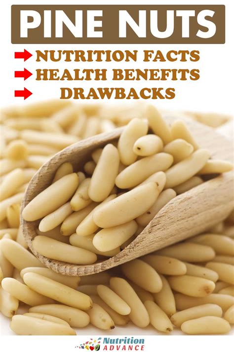 Pine Nuts: Nutrition Facts and Potential Benefits