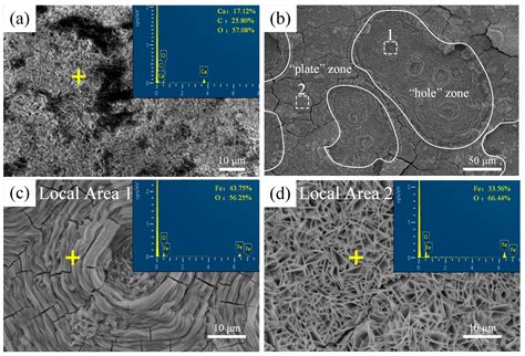 Effects of Different Fouling Organisms on Corrosion Behavior of Carbon ...