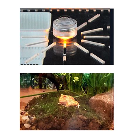 Large Tank Cage Reptile Pet Enclosure Lizard Spider | Ubuy India