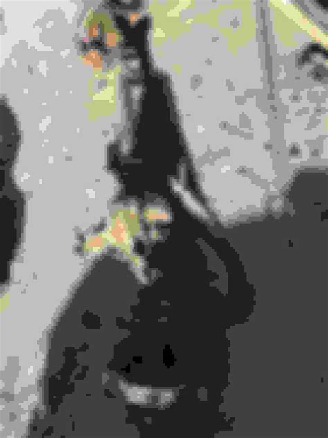 Public Service Announcement 1977 4X4 at San Bernardino LKQ - Ford Truck Enthusiasts Forums