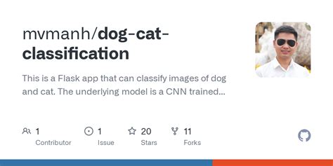 Classification Model Example 的图像结果