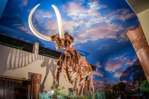 The Bishop Museum of Science and Nature