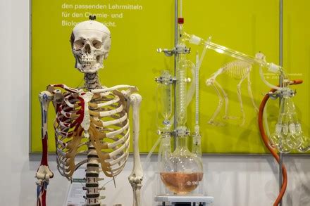 Image result for Advanced Models