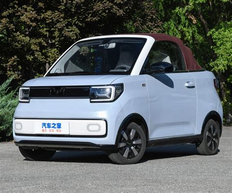 Image result for Wuling Mini EV Capybara