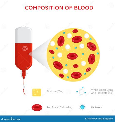Composition of Blood Plasma, Red and White Blood Cells, and Platelets Stock Vector ...