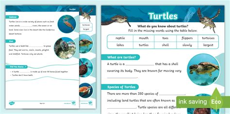 Turtles Cloze Worksheet (teacher made) - Twinkl