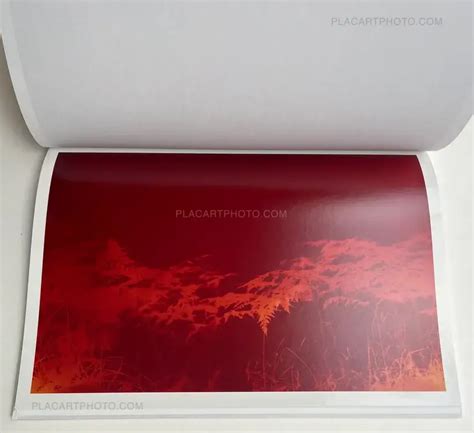 Hendrik Zeitler, 1:1 Hammarkullen (WITH SIGNED AND NUMBERED PRINT ...