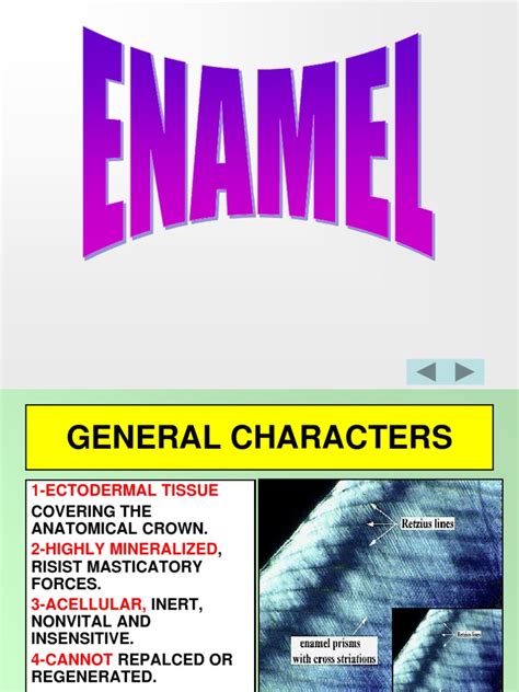 Anatomy, Physical Properties, Chemical Composition, Structure ...