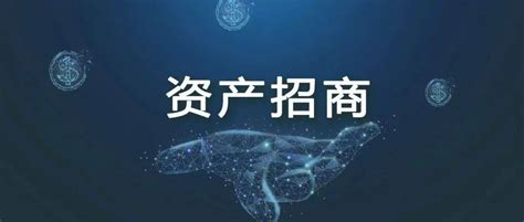 招商信息 | 对岳阳置信置业有限公司、张健军债权项目招商公告_抵押合同_情况_湖滨