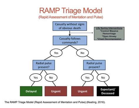 START, SALT, and RAMP Triage in a Mass Casualty Event - Crisis Medicine