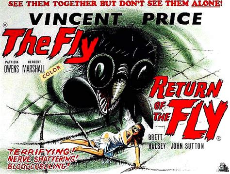 Poster for THE RETURN OF THE FLY | Classic horror movies posters, Movie ...
