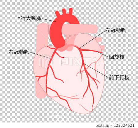 Image result for Complete Sample Time Sampling for Observation