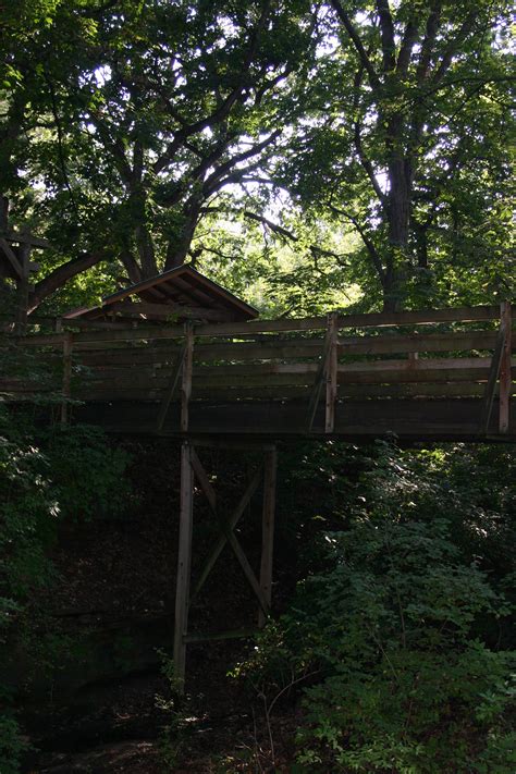 Endless Beauty at Grizzly Jack's Grand Bear Resort in Utica, Illinois