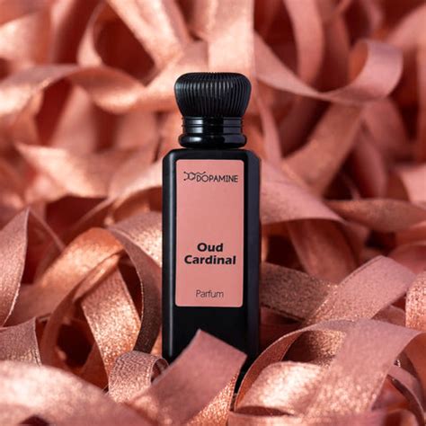 Fragrance Guide: Perfume, Eau de Toilette & Cologne – Dopamineshop.in