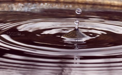 Image result for One-Drop Flying Creatures