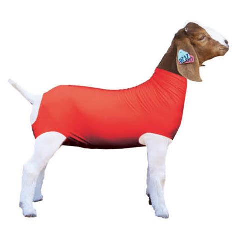 Show Pro Red Spandex Goat Tube for Show Goats - Show Livestock Supplies ...