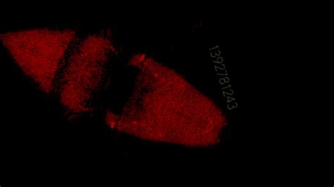 Slideshow: Project C and Project D First Look Screenshots