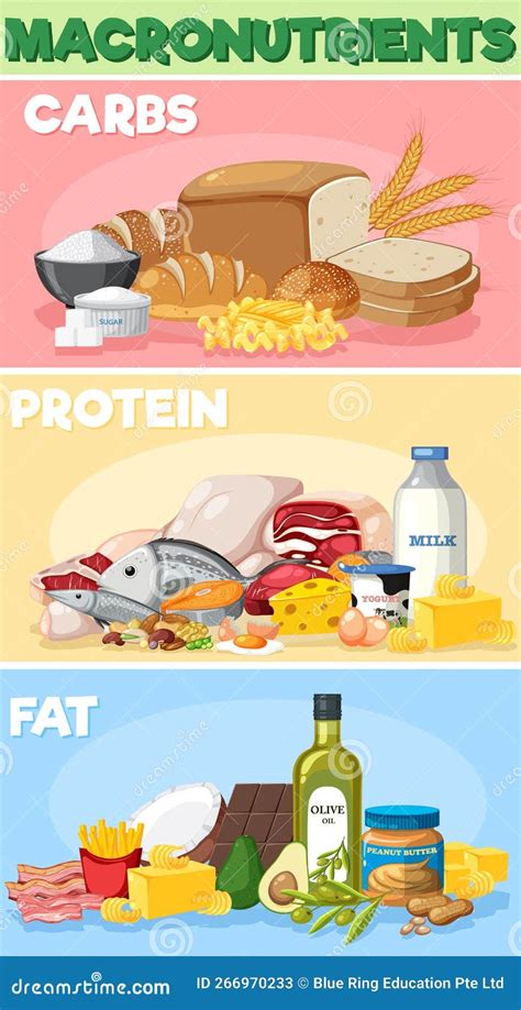 Image result for Macronutrients Graphics