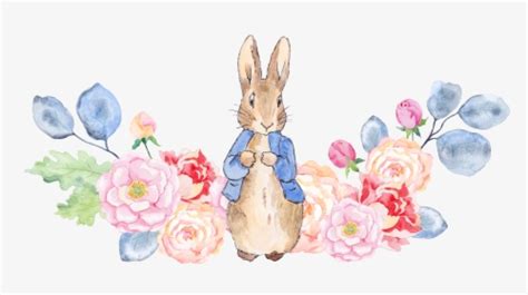 Image result for Rabbit SpO2
