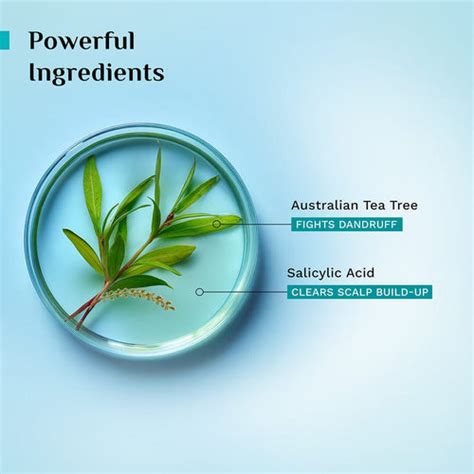 Buy Australian Tea Tree Non-Drying Anti-Dandruff Shampoo Online