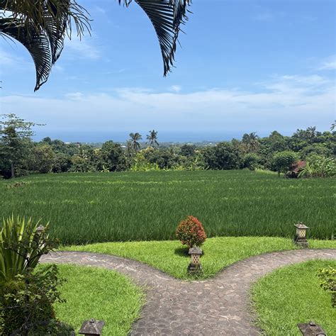 PURI MANGGA SEA VIEW RESORT & SPA (Kayu Putih) - Resort Reviews, Photos ...