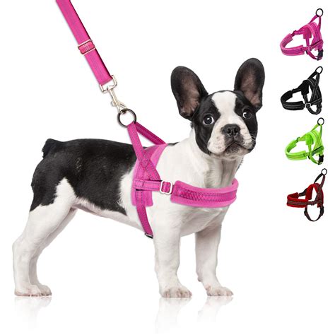 What Is A Front Clip Dog Harness