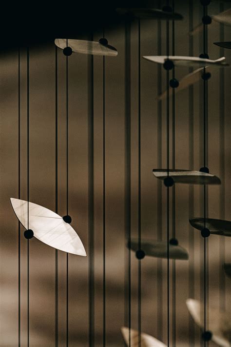 Falling Still | Bouncing light, Art inspiration, Things that bounce