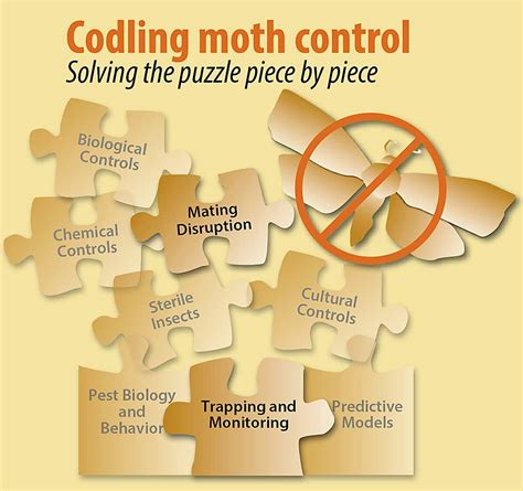 Image result for Codling Moth Control