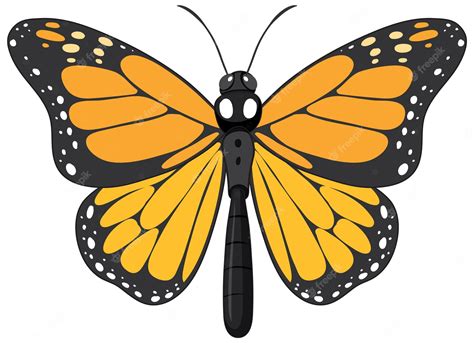 Free Monarch Butterfly, Download Free Monarch Butterfly png images ...